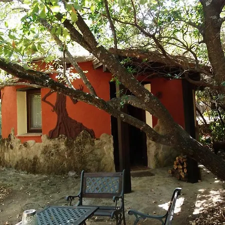 Apartamentos Rurales Ecopangea Valverde de la Vera Exterior foto