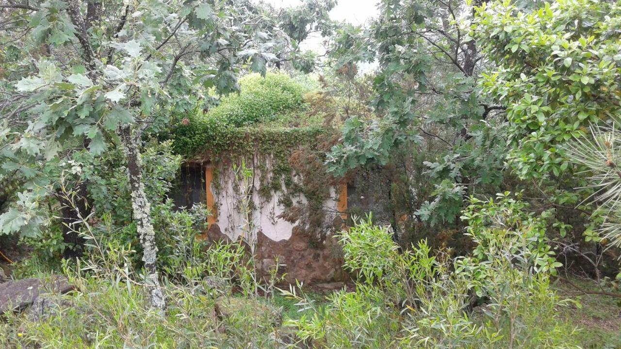 Rurales Ecopangea Landhaus Valverde de la Vera