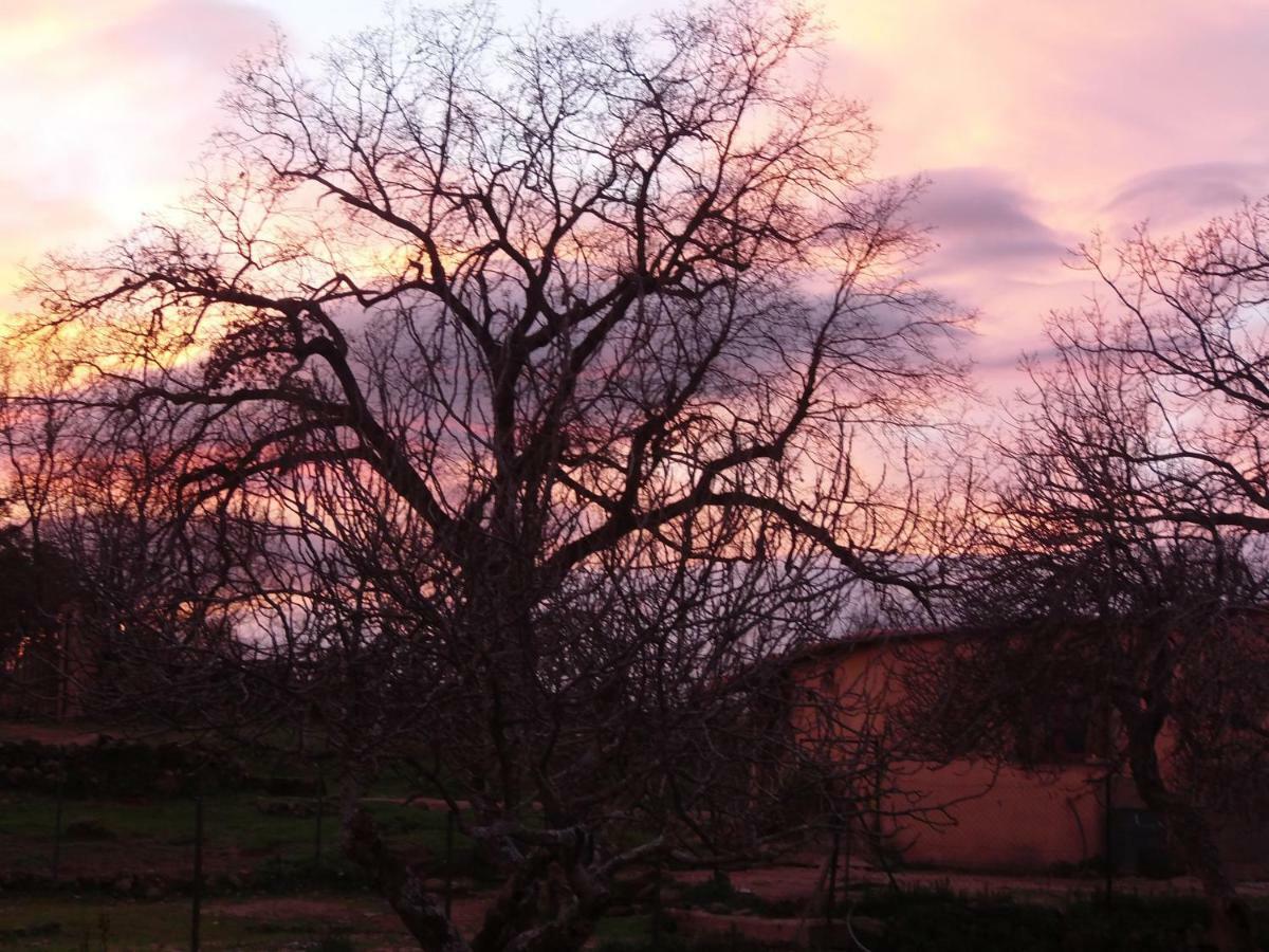 Rurales Ecopangea Landhaus *